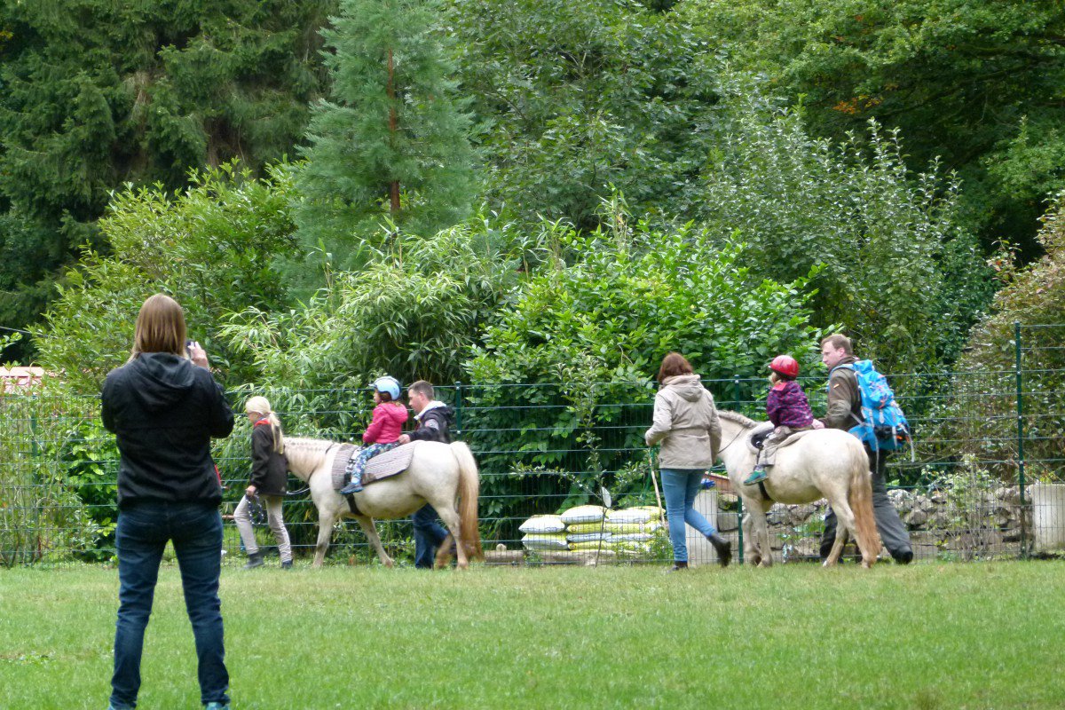 Bilder Lebenswertewanderung 2016