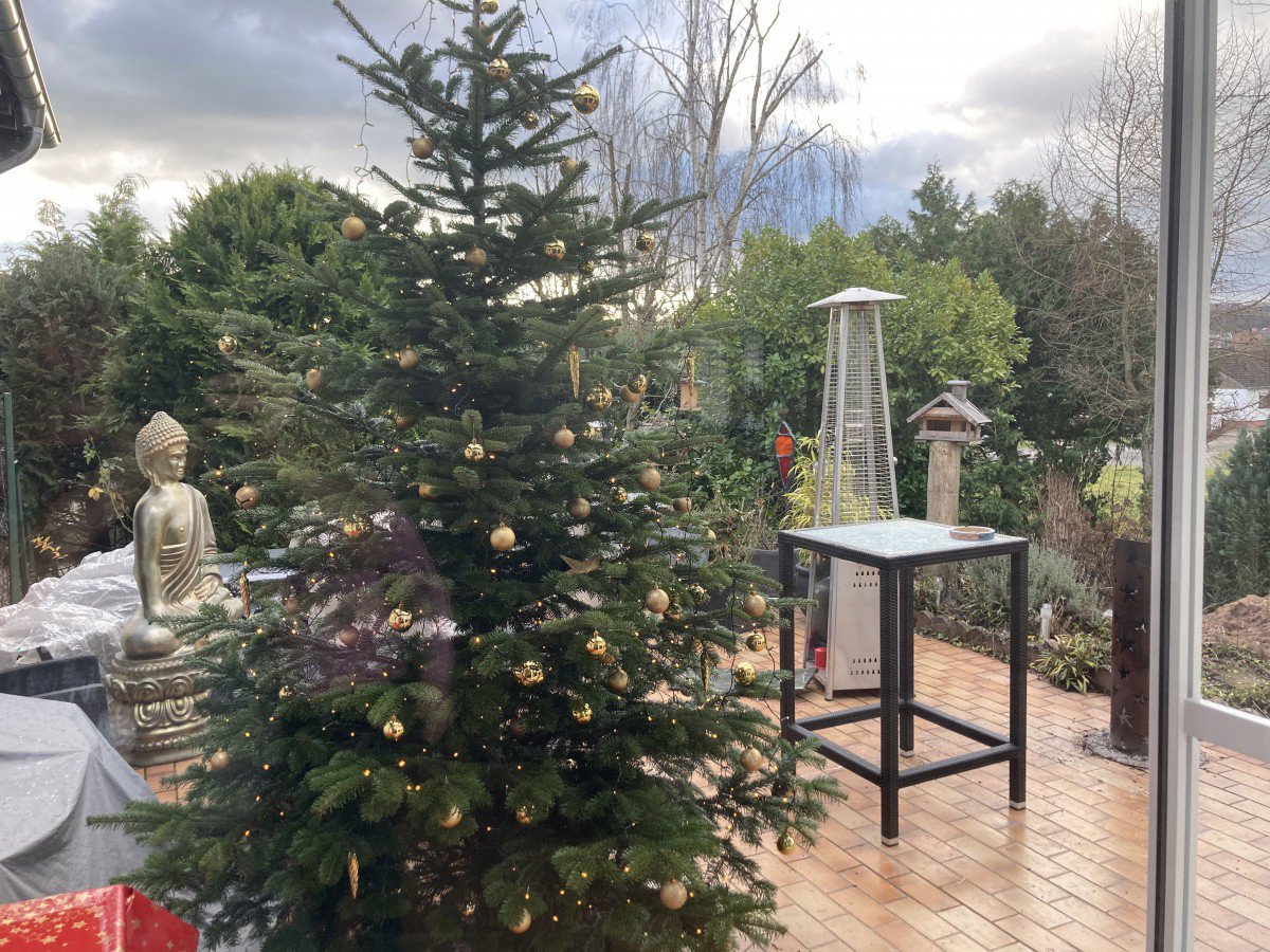 Weihnachtsbaum 2020